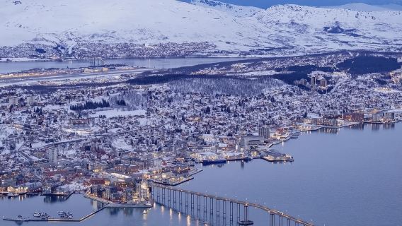 特羅姆瑟包車：北極大教堂·極地博物館·峽灣·觀鯨