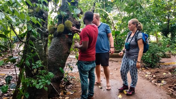 Zanzibar: Lawatan Ladang Rempah
