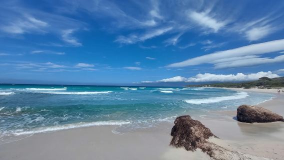 Dari Calvi: Lawatan 4x4 Hari Gunung & Pantai Saleccia Agriates