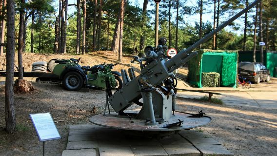 Tour guidato privato della penisola di Hel a Danzica con crociera o auto