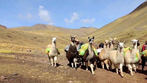 Desde Cusco: Tour a la Montaña de Colores