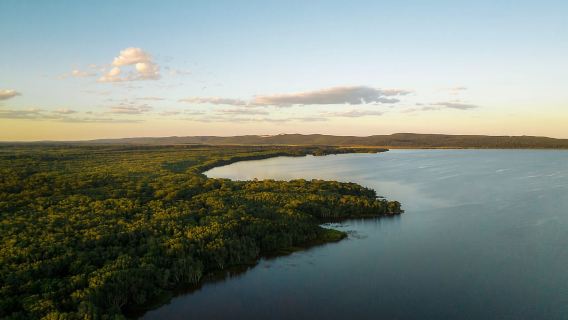 Noosa: Afternoon Cruise through the Noosa Everglades