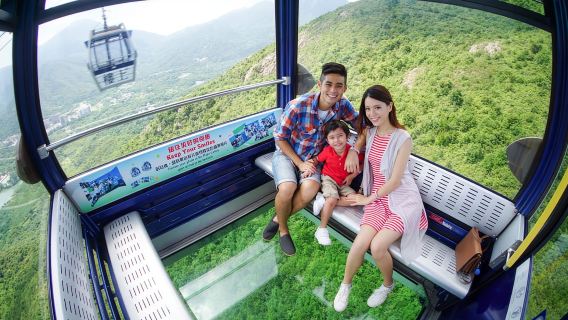 Hong Kong: Boat and NP360 Cable Car or Tai O Day Pass