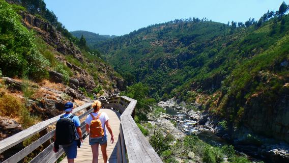Arouca: 516 Arouca Köprüsü ve Paiva Yürüyüş Yolu Turu