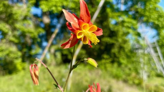 포틀랜드: 포레스트 공원 자전거 또는 전기 자전거 투어