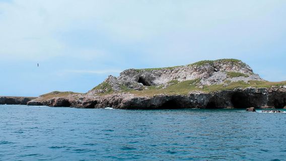 เปอร์โตวัลลาร์ตา: ดำน้ำตื้น ชายหาด ล่องเรือไปที่ Marietas Park