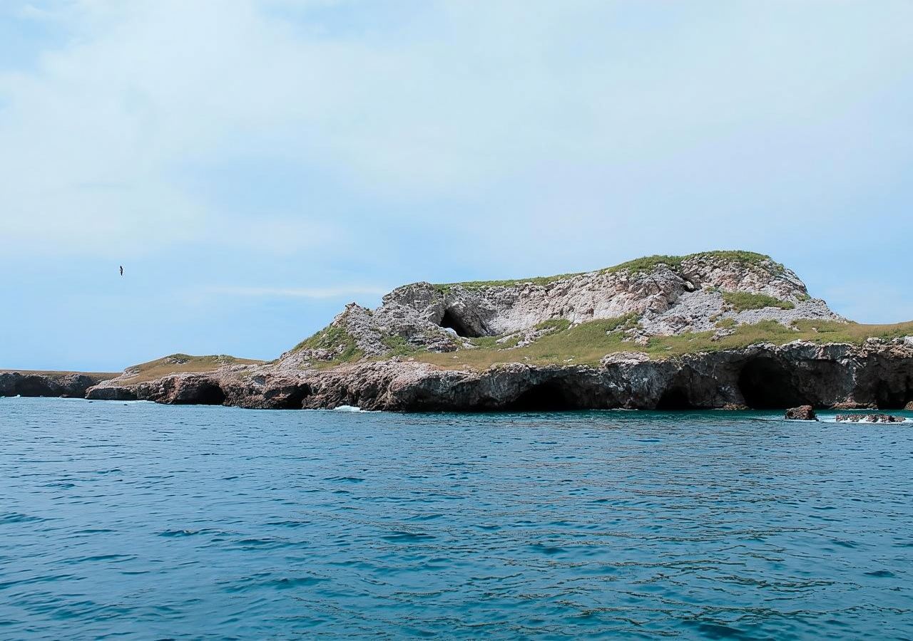 เปอร์โตวัลลาร์ตา: ดำน้ำตื้น ชายหาด ล่องเรือไปที่ Marietas Park