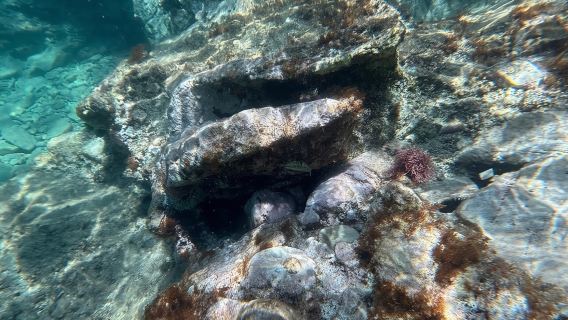 Saranda:Boat Tour to Kroreza with snorkelling,&umbrellas