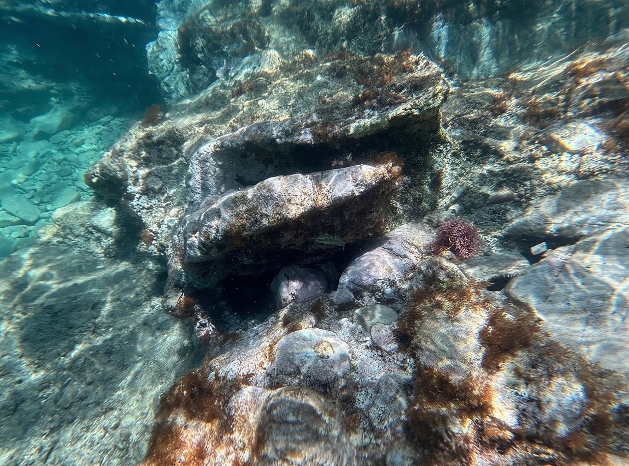Saranda: Paseo en barco a Kroreza con snorkel y sombrillas