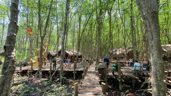 Can Gio: Isla de los Monos, Campamento Guerrillero, Bosque de Manglares