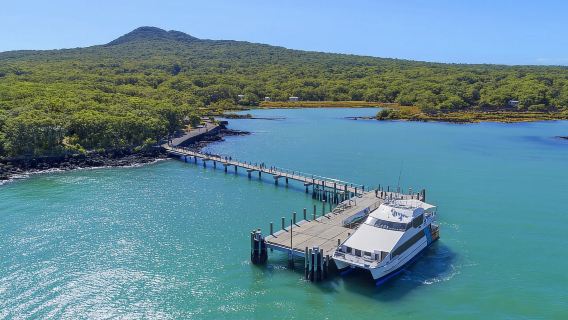 Auckland: Rückfahrt mit der Fähre zur Insel Rangitoto