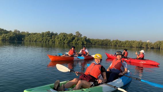Abu Dhabi mangrove kayaking tour