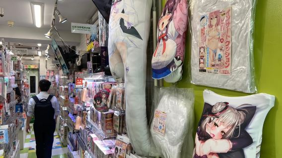 Tokyo: Akihabara Private Hentai Tour