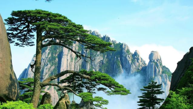 Todo Anhui - Hefei, Huangshan, Chuzhou | Guías profesionales multilingües | Traducción para ferias | Traducción comercial | Servicio de coche privado con conductor personalizado | Recogida/traslado al aeropuerto