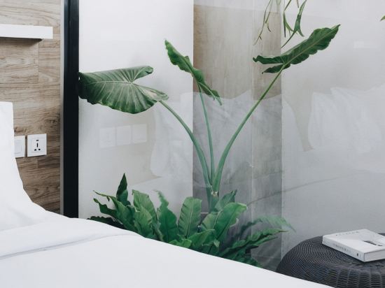 Lloyd's Inn Bali Room Type - The Standard Room Twin