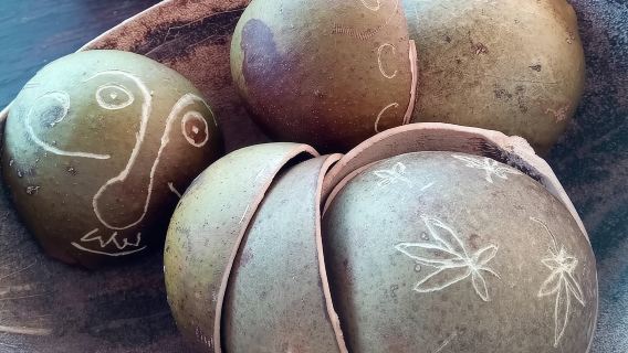 DIY Craft Your Own wooden Bowl : from a calabash fruit!