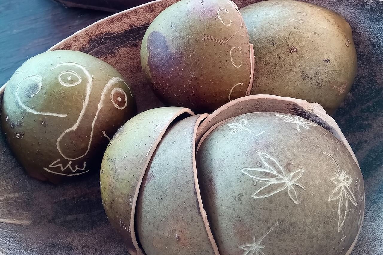 DIY Craft Your Own wooden Bowl : from a calabash fruit!