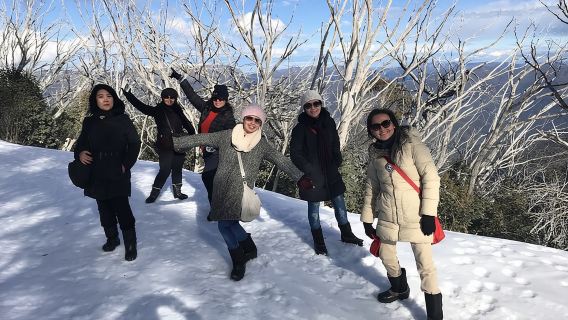 Mount Buller Snow Day Boutique Trip - Max 11 People