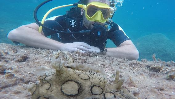 Scuba Diving Experience in Taormina