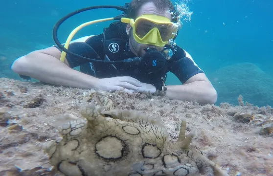 在陶爾米納體驗水肺潛水