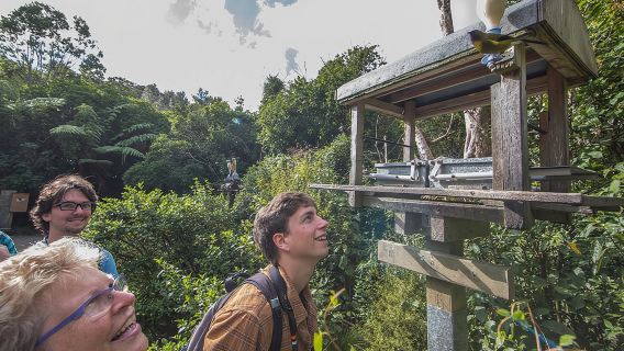 Small Group Daytime 2-Hour Eco Wildlife Tour at Zealandia