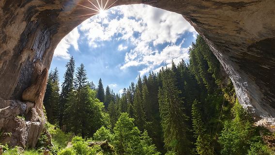 Gita di un giorno ai Ponti Meravigliosi e alla cucina unica dei Rodopi