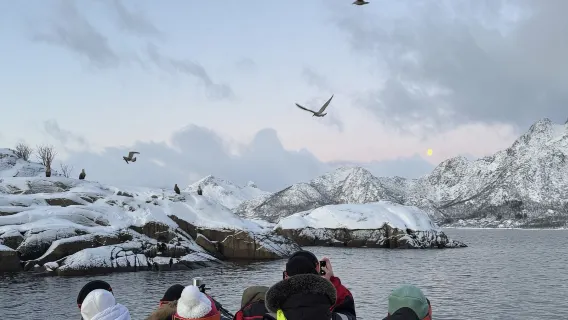 Svolvær Fjord Cruise Experience in Lofoten Islands, Norway [Fjord Cruise + Optional Sea Eagle Watching or Sea Fishing or Kayaking]