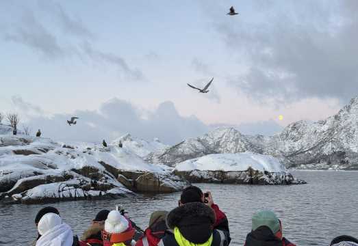 Lofoten Svolvær Fjord Cruise: Trollfjord, Sea Eagles, Fishing & Kayaking