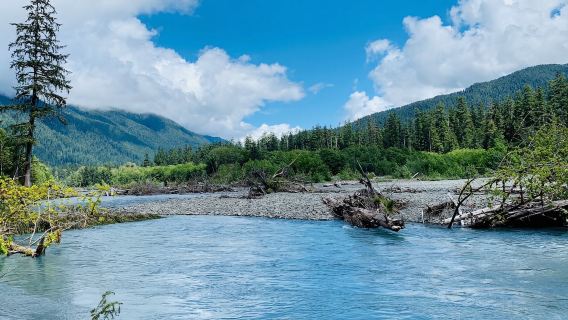 tur harian ke Forks Township dan Taman Nasional Olympic