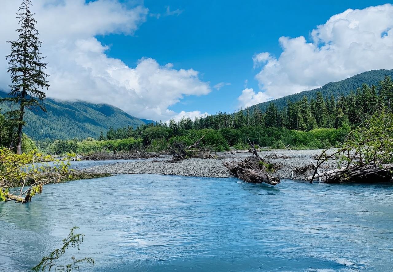Forks + excursión de un día al Parque Nacional Olympic