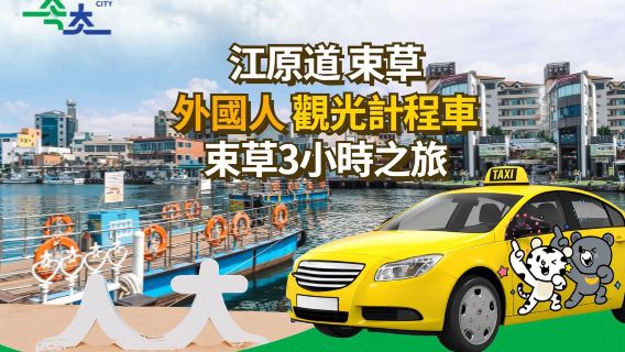 SeoulTour giornalieri
