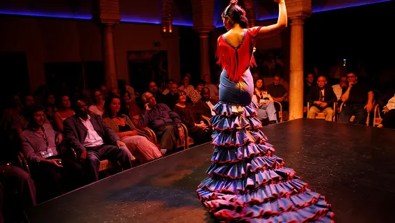 Sevilha: Espetáculo Puro Flamenco - Museo del Baile Flamenco