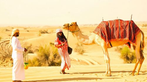 Dubai Morning Safari with 25 Mints Camel ride & Sand Boarding 5