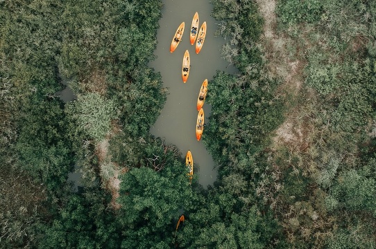 Tur Kayak Terowongan Mangrove Kepulauan Seribu dengan Cocoa Kayaking!
