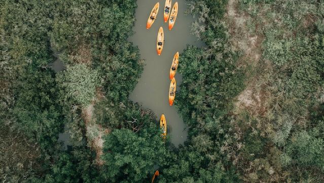 코코아 카약킹과 함께하는 천섬 맹그로브 터널 카약 투어!