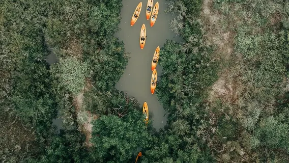 Thousand Islands Mangrove Tunnel Kayak Tour with Cocoa Kayaking!