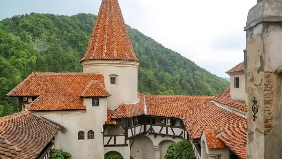 Bran Castle and Rasnov Fortress Tour from Brasov with Optional Peles Castle Visit
