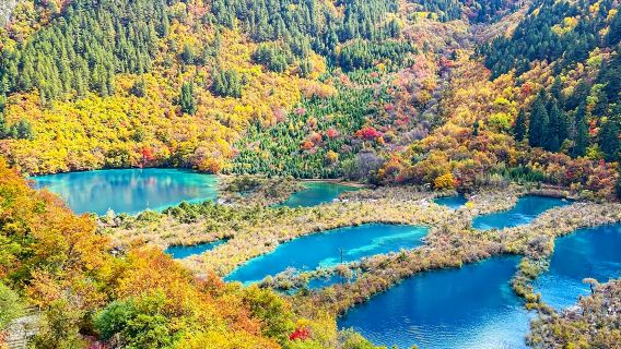 Lawatan Sehari ke Jiuzhaigou · Kumpulan Kecil 2-6 Orang · Penerangan Berpandu oleh Pemandu Pelancong + Pilihan Pengangkutan Hotel Jiuzhaigou