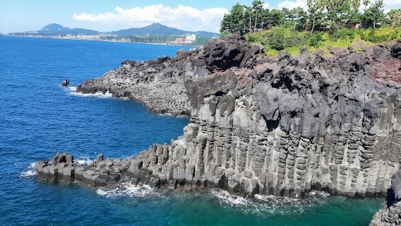 韓國東門市場+梨湖海水浴場+漢拿樹木園+七星路【普通話司機】