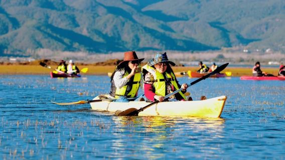拉市海騎馬划船+濕地公園票+千古情一日遊：古城接送+土雞火鍋