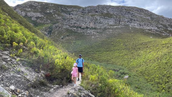 Cape Town: Hike up the Iconic Table Mountain
