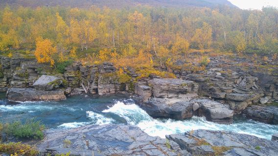 Kiruna: Abisko National Park Guided Day Tour with Lunch