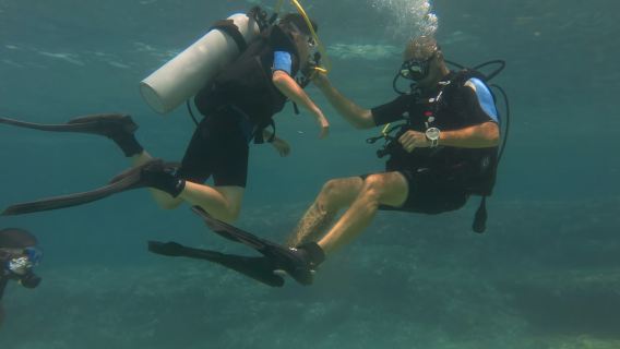 Maiorca: prova le immersioni subacquee in una riserva naturale marina