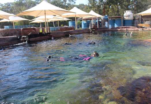 Anna Bay: Irukandji Entry + Coastal Currents Snorkel