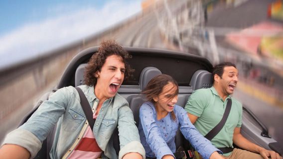 Орландо: билеты в Walt Disney World – 1 парк в день