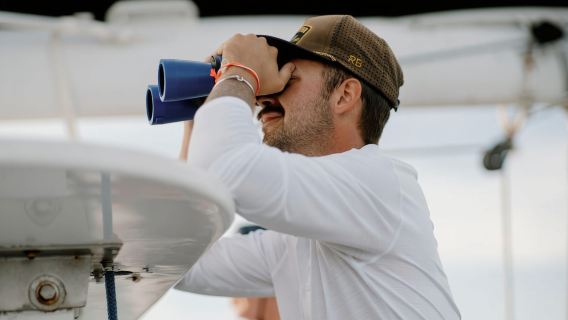 Key West: Katamaranfahrt am Nachmittag und Delfinbeobachtung