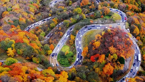 Excursion d'une journée à Tokyo : Nikkō Tōshō-gū, route d'Iroha-zaka, lac Chūzenji et chutes de Kegon pour admirer les feuilles d'automne