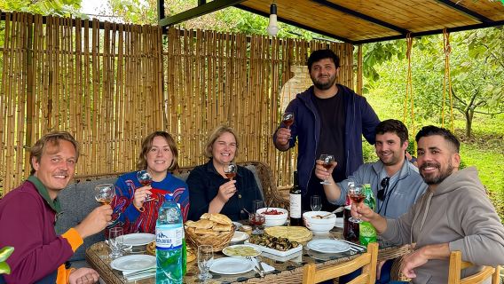Kakheti: pequeñas bodegas y almuerzo casero • Tour privado