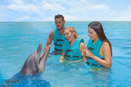 Cancun: Dolphin Connection & Isla Mujeres Beach Club Buffet