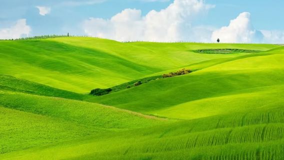 義大利佛羅倫斯聖吉米尼亞諾+錫耶納教堂+奧爾恰穀一日遊